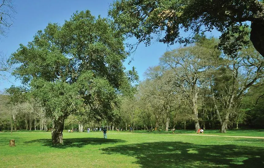 Villa San Zaro 0*, Pula